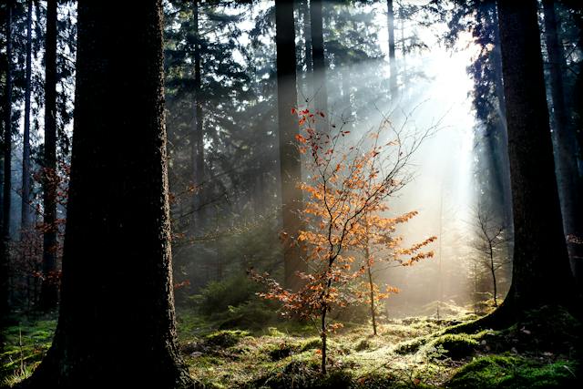 strijklicht fotografie